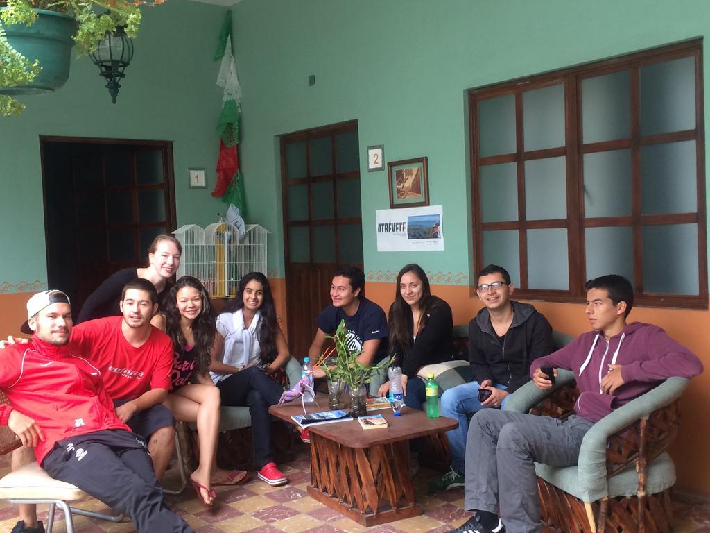 Hierba De Conejo Hostel Oaxaca Bagian luar foto