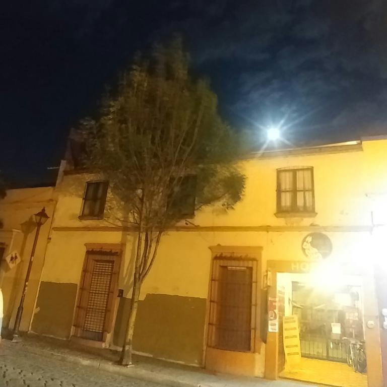 Hierba De Conejo Hostel Oaxaca Bagian luar foto